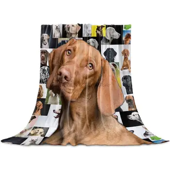 Doce - Lar de Velo Jogar Cobertor de Tamanho Completo, Retrato do Cão, Leve Flanela Mantas para Sofá Cama, Sala de estar, Warm Fuzzy