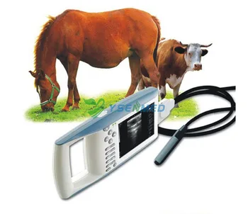 Médicas veterinárias de Animais de 4D Máquina de ultra-som Veterinário Scanner de ultra-som de Pequenos E Grandes Animais